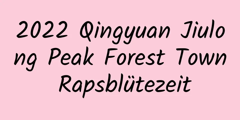 2022 Qingyuan Jiulong Peak Forest Town Rapsblütezeit