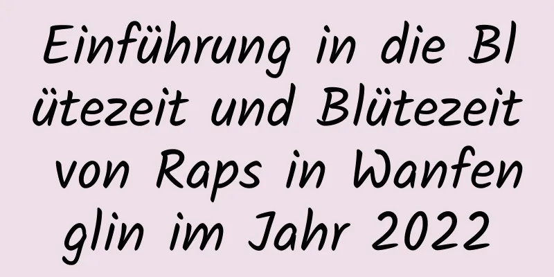 Einführung in die Blütezeit und Blütezeit von Raps in Wanfenglin im Jahr 2022