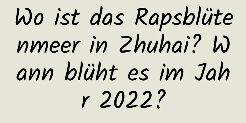 Wo ist das Rapsblütenmeer in Zhuhai? Wann blüht es im Jahr 2022?