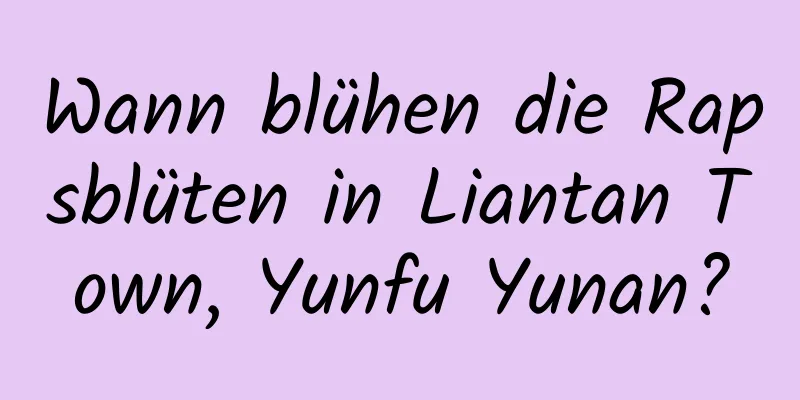 Wann blühen die Rapsblüten in Liantan Town, Yunfu Yunan?