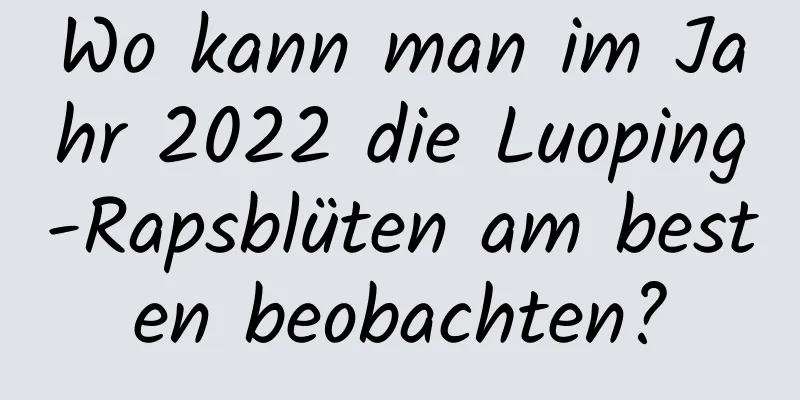 Wo kann man im Jahr 2022 die Luoping-Rapsblüten am besten beobachten?