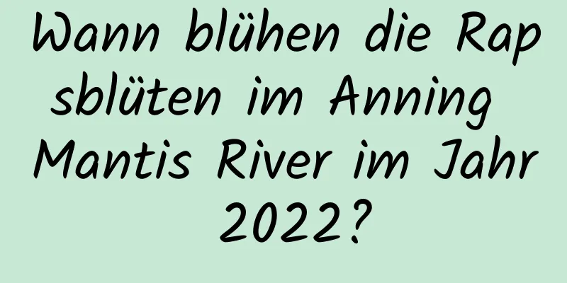 Wann blühen die Rapsblüten im Anning Mantis River im Jahr 2022?