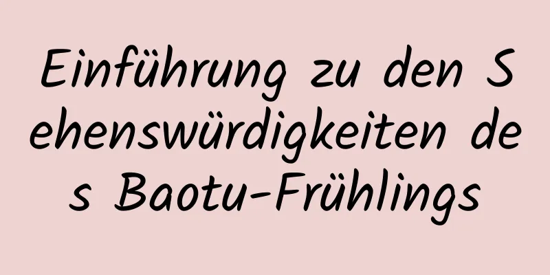 Einführung zu den Sehenswürdigkeiten des Baotu-Frühlings