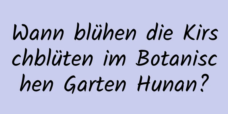 Wann blühen die Kirschblüten im Botanischen Garten Hunan?