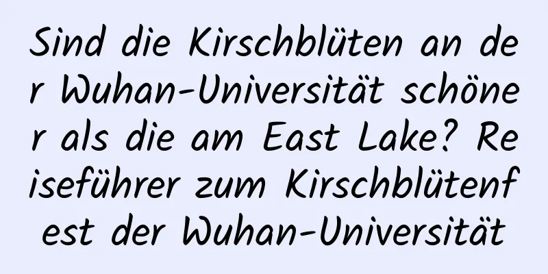 Sind die Kirschblüten an der Wuhan-Universität schöner als die am East Lake? Reiseführer zum Kirschblütenfest der Wuhan-Universität