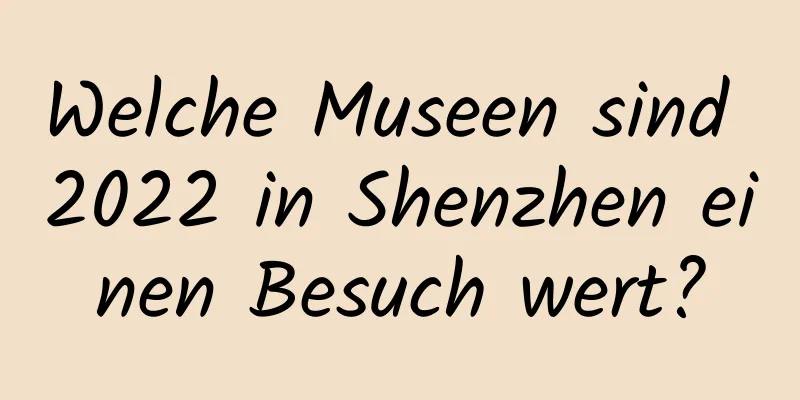 Welche Museen sind 2022 in Shenzhen einen Besuch wert?