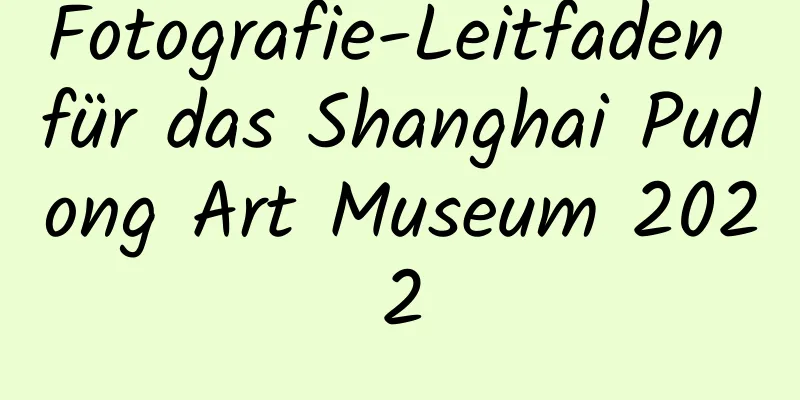 Fotografie-Leitfaden für das Shanghai Pudong Art Museum 2022