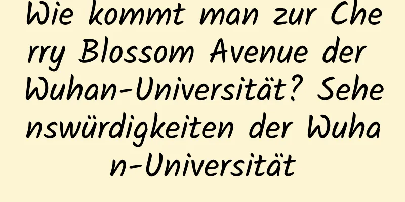 Wie kommt man zur Cherry Blossom Avenue der Wuhan-Universität? Sehenswürdigkeiten der Wuhan-Universität