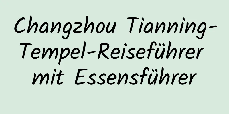 Changzhou Tianning-Tempel-Reiseführer mit Essensführer