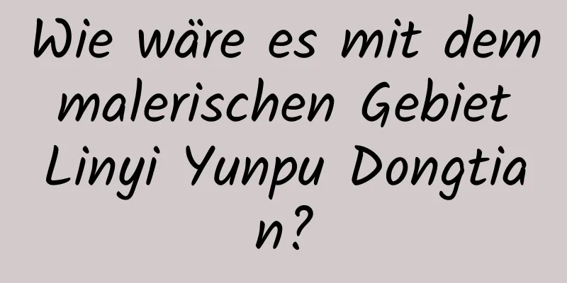 Wie wäre es mit dem malerischen Gebiet Linyi Yunpu Dongtian?