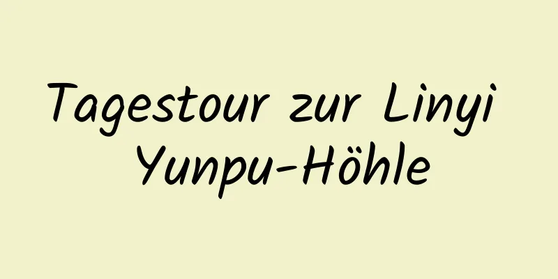 Tagestour zur Linyi Yunpu-Höhle