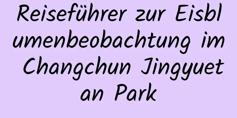 Reiseführer zur Eisblumenbeobachtung im Changchun Jingyuetan Park