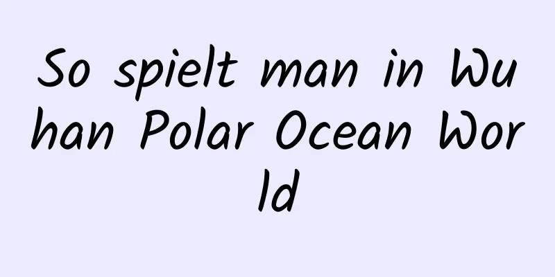 So spielt man in Wuhan Polar Ocean World