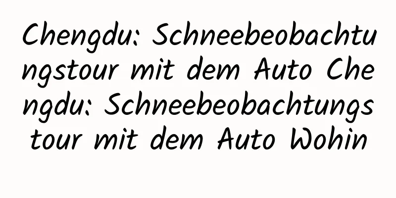 Chengdu: Schneebeobachtungstour mit dem Auto Chengdu: Schneebeobachtungstour mit dem Auto Wohin