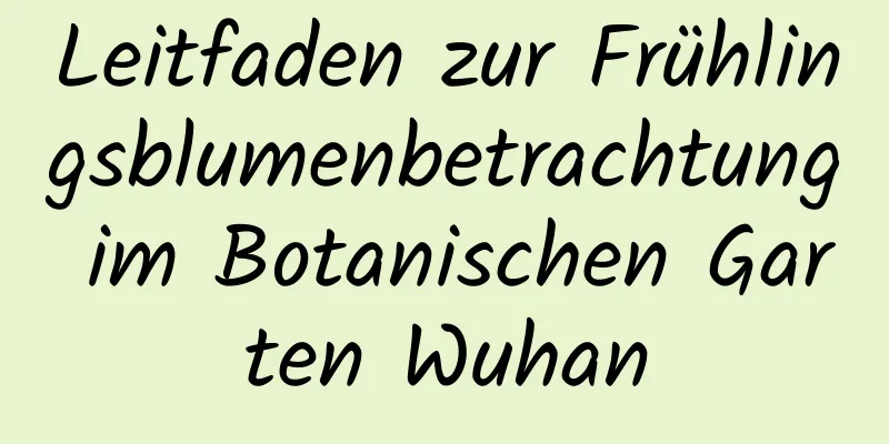 Leitfaden zur Frühlingsblumenbetrachtung im Botanischen Garten Wuhan