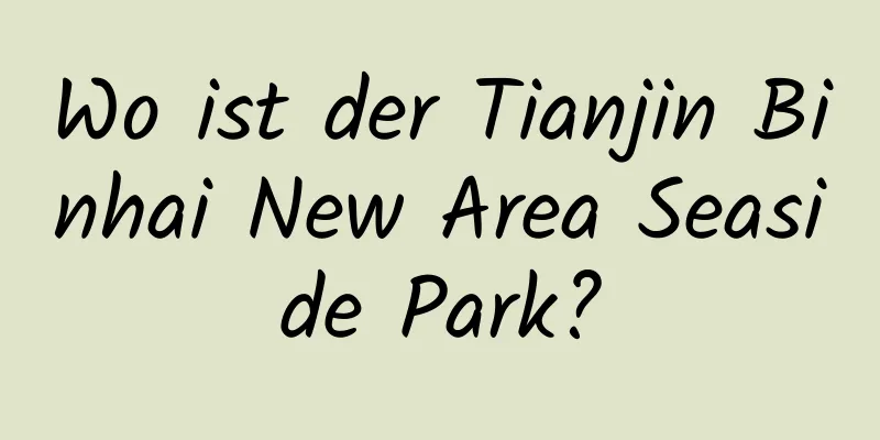 Wo ist der Tianjin Binhai New Area Seaside Park?