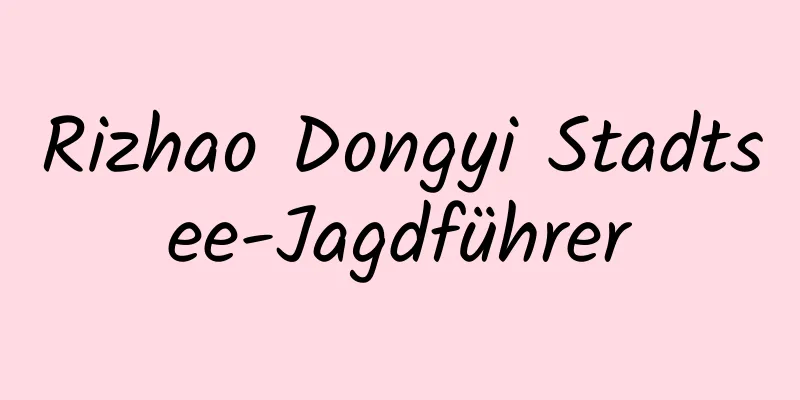 Rizhao Dongyi Stadtsee-Jagdführer