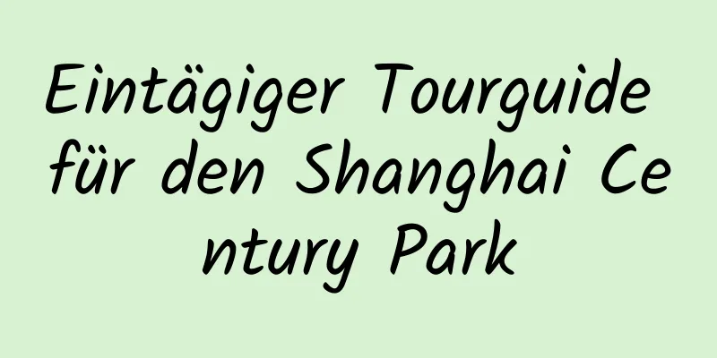 Eintägiger Tourguide für den Shanghai Century Park