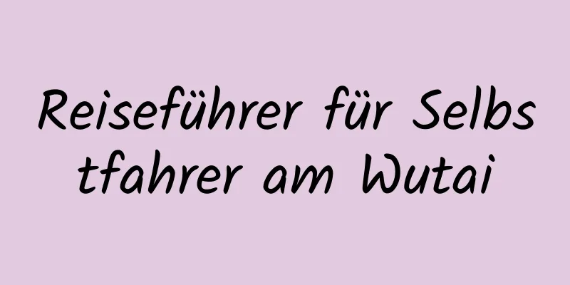 Reiseführer für Selbstfahrer am Wutai