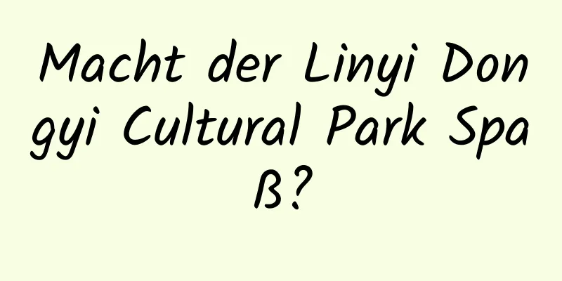 Macht der Linyi Dongyi Cultural Park Spaß?