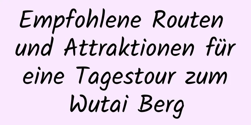 Empfohlene Routen und Attraktionen für eine Tagestour zum Wutai Berg