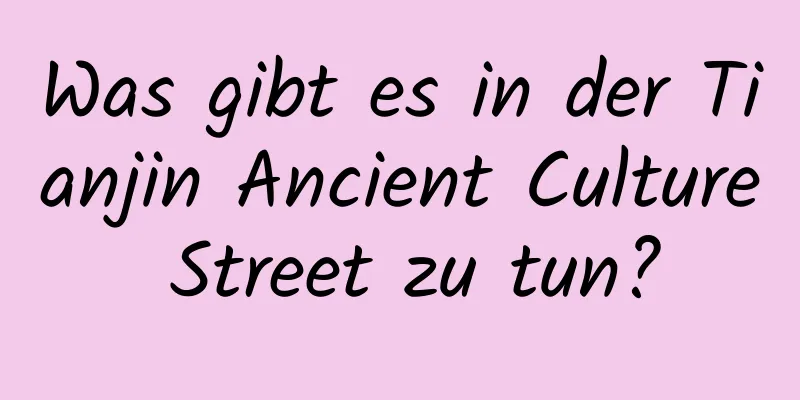 Was gibt es in der Tianjin Ancient Culture Street zu tun?