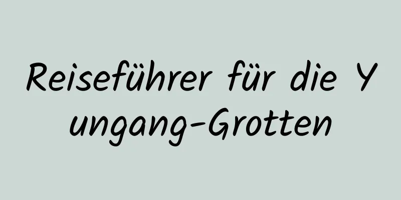 Reiseführer für die Yungang-Grotten