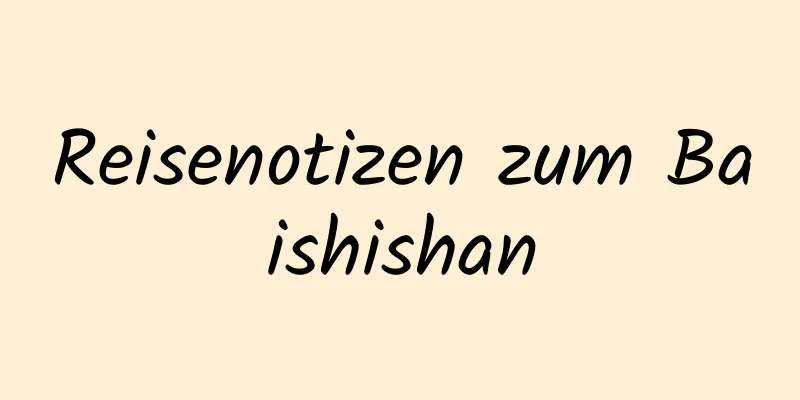 Reisenotizen zum Baishishan