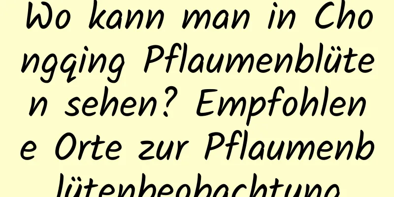 Wo kann man in Chongqing Pflaumenblüten sehen? Empfohlene Orte zur Pflaumenblütenbeobachtung