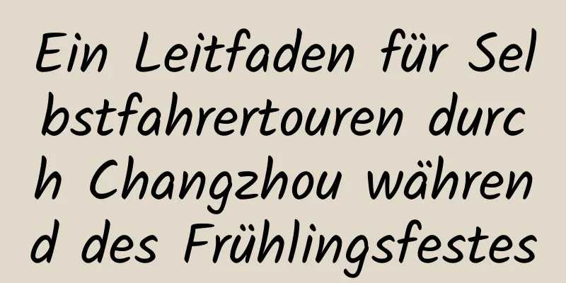 Ein Leitfaden für Selbstfahrertouren durch Changzhou während des Frühlingsfestes