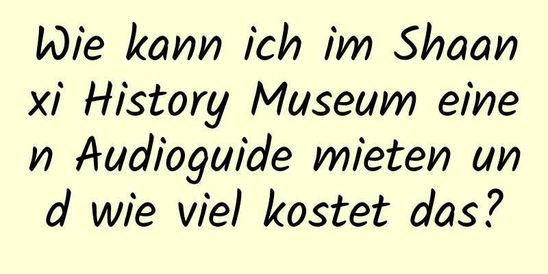 Wie kann ich im Shaanxi History Museum einen Audioguide mieten und wie viel kostet das?