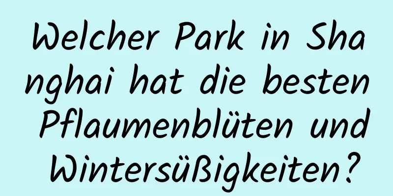 Welcher Park in Shanghai hat die besten Pflaumenblüten und Wintersüßigkeiten?