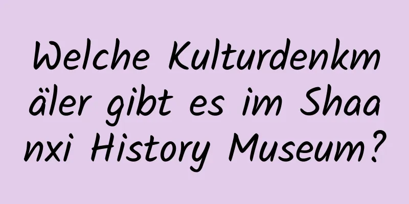 Welche Kulturdenkmäler gibt es im Shaanxi History Museum?