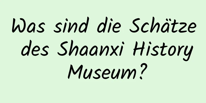 Was sind die Schätze des Shaanxi History Museum?