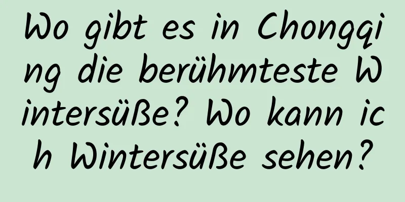 Wo gibt es in Chongqing die berühmteste Wintersüße? Wo kann ich Wintersüße sehen?