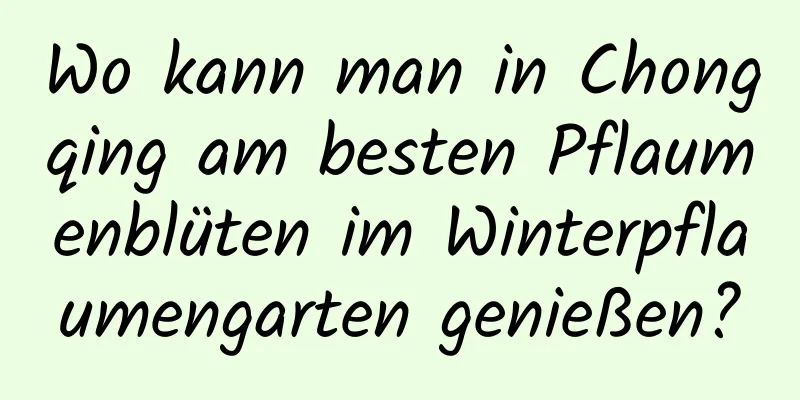 Wo kann man in Chongqing am besten Pflaumenblüten im Winterpflaumengarten genießen?