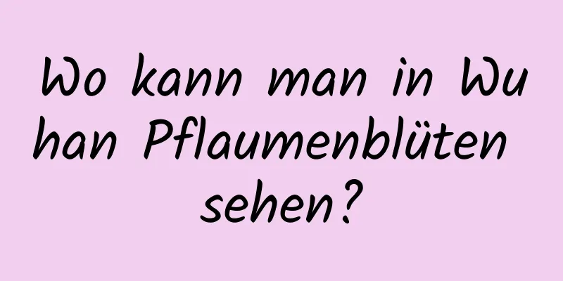 Wo kann man in Wuhan Pflaumenblüten sehen?