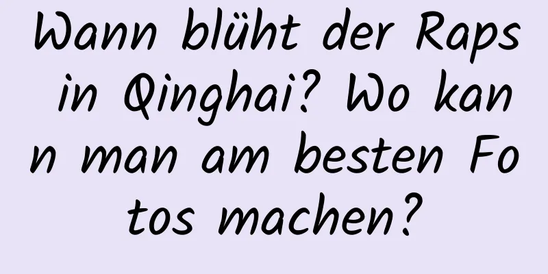 Wann blüht der Raps in Qinghai? Wo kann man am besten Fotos machen?