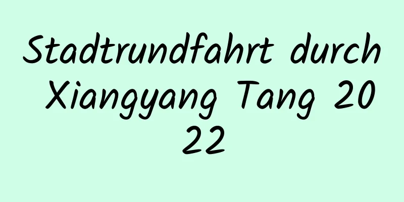 Stadtrundfahrt durch Xiangyang Tang 2022