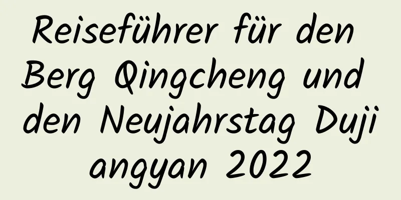 Reiseführer für den Berg Qingcheng und den Neujahrstag Dujiangyan 2022