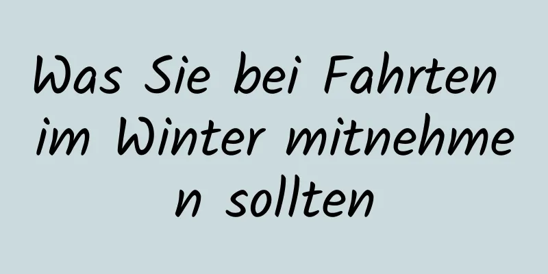 Was Sie bei Fahrten im Winter mitnehmen sollten