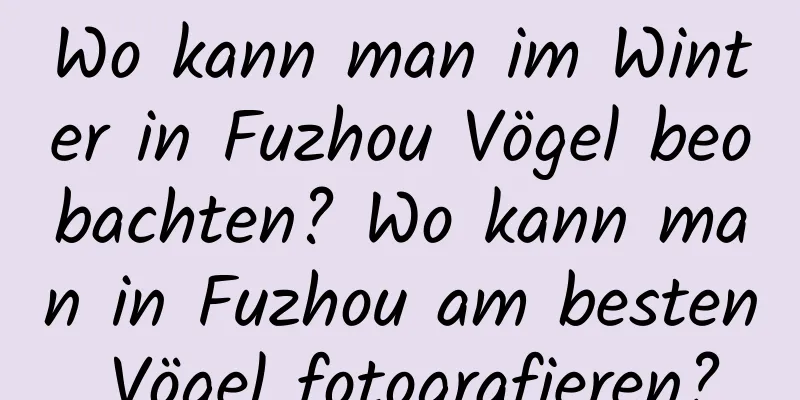 Wo kann man im Winter in Fuzhou Vögel beobachten? Wo kann man in Fuzhou am besten Vögel fotografieren?