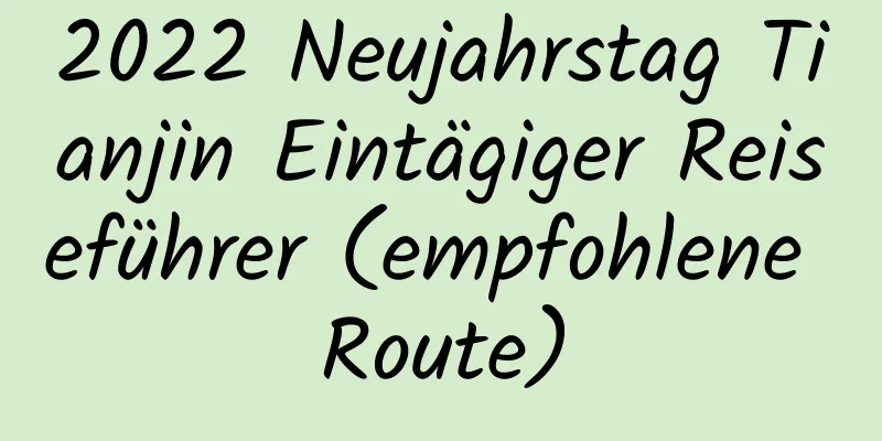 2022 Neujahrstag Tianjin Eintägiger Reiseführer (empfohlene Route)