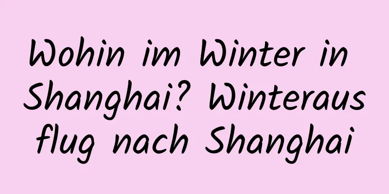 Wohin im Winter in Shanghai? Winterausflug nach Shanghai