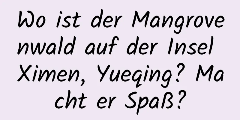 Wo ist der Mangrovenwald auf der Insel Ximen, Yueqing? Macht er Spaß?