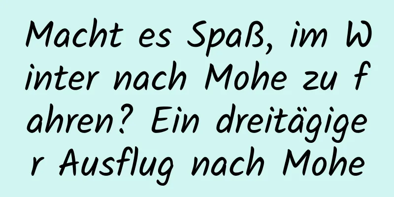 Macht es Spaß, im Winter nach Mohe zu fahren? Ein dreitägiger Ausflug nach Mohe