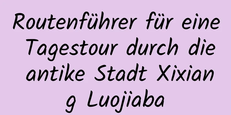 Routenführer für eine Tagestour durch die antike Stadt Xixiang Luojiaba