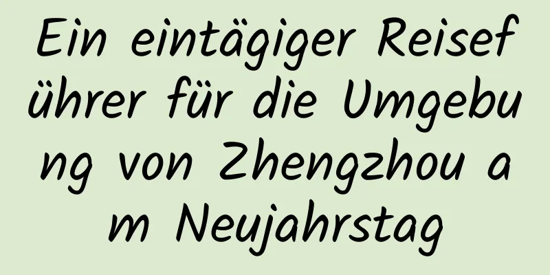 Ein eintägiger Reiseführer für die Umgebung von Zhengzhou am Neujahrstag