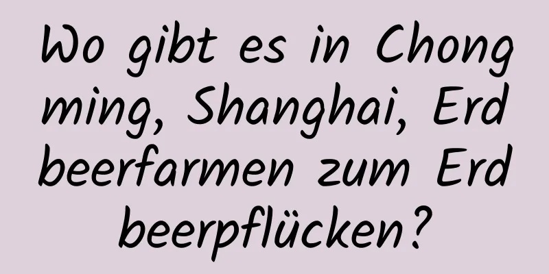 Wo gibt es in Chongming, Shanghai, Erdbeerfarmen zum Erdbeerpflücken?