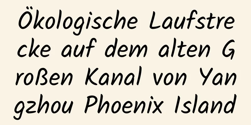 Ökologische Laufstrecke auf dem alten Großen Kanal von Yangzhou Phoenix Island